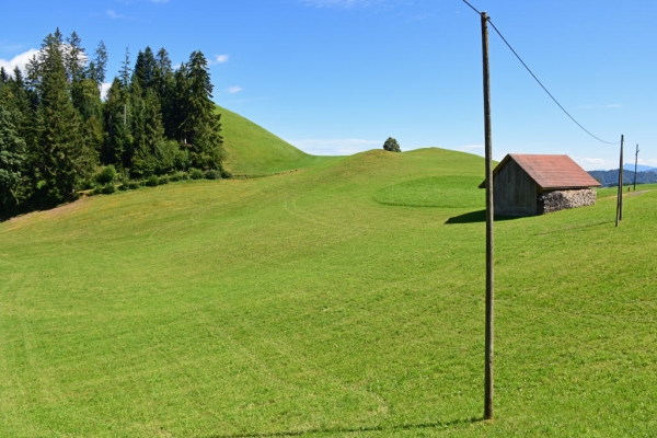 Im Fontannenland