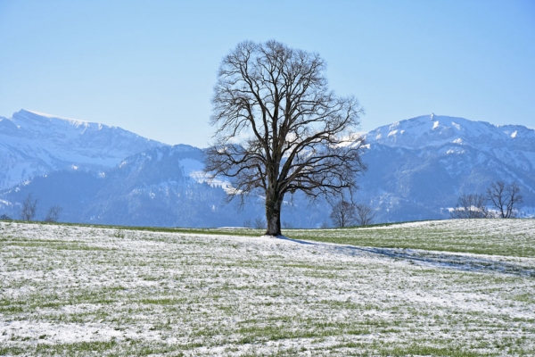 Der Fr&uuml;hling l&auml;sst auf sich warten