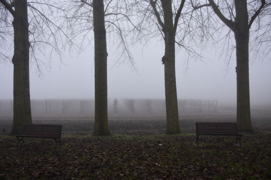 Wintergrau
